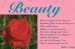 beauty2 thumbnail