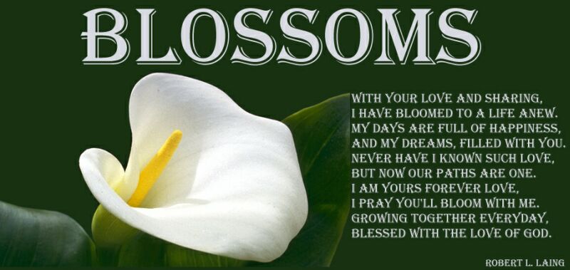 Blossom1