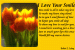 flower1 thumbnail