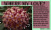 love3 thumbnail