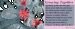 love9 thumbnail