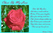 mylove1 thumbnail