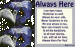 pains1 thumbnail