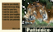 patience1 thumbnail
