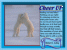 polarbears1 thumbnail